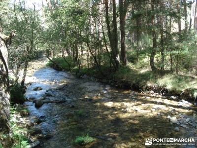 Pesquerías Reales y Fuentes de La Granja;grupos para hacer senderismo en madrid senderismo y excurs